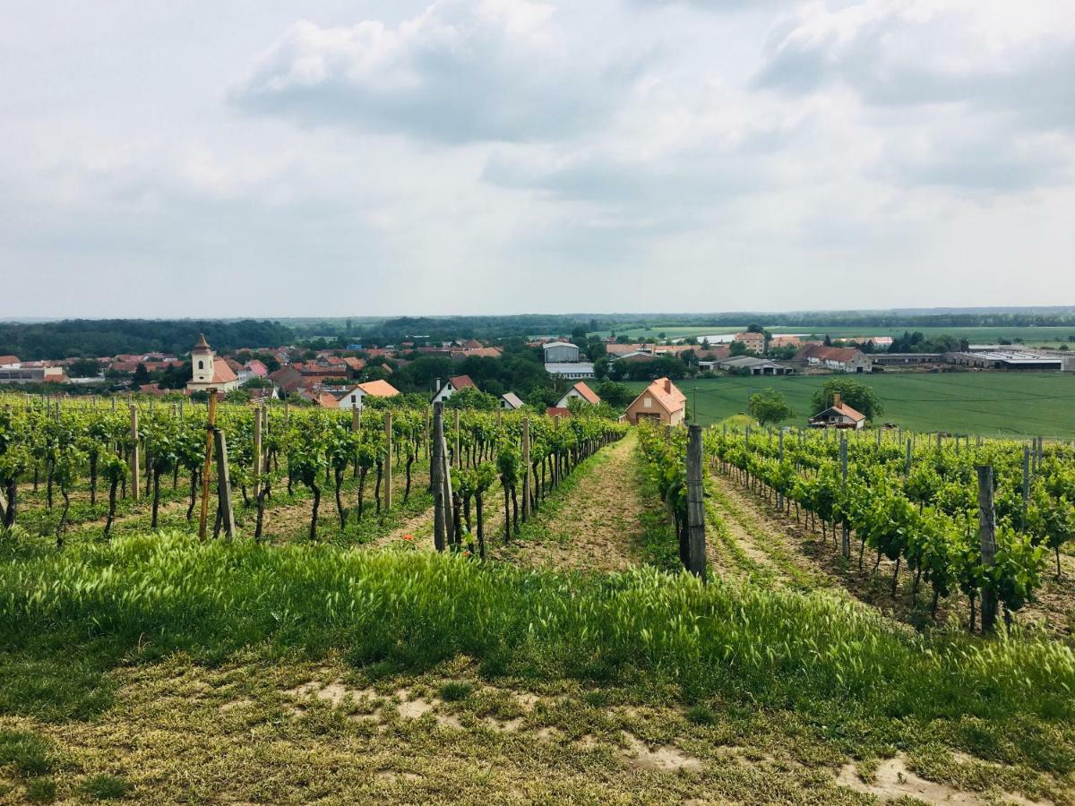 Ubytovani U lišáka FOXE Bulhary Exterior foto