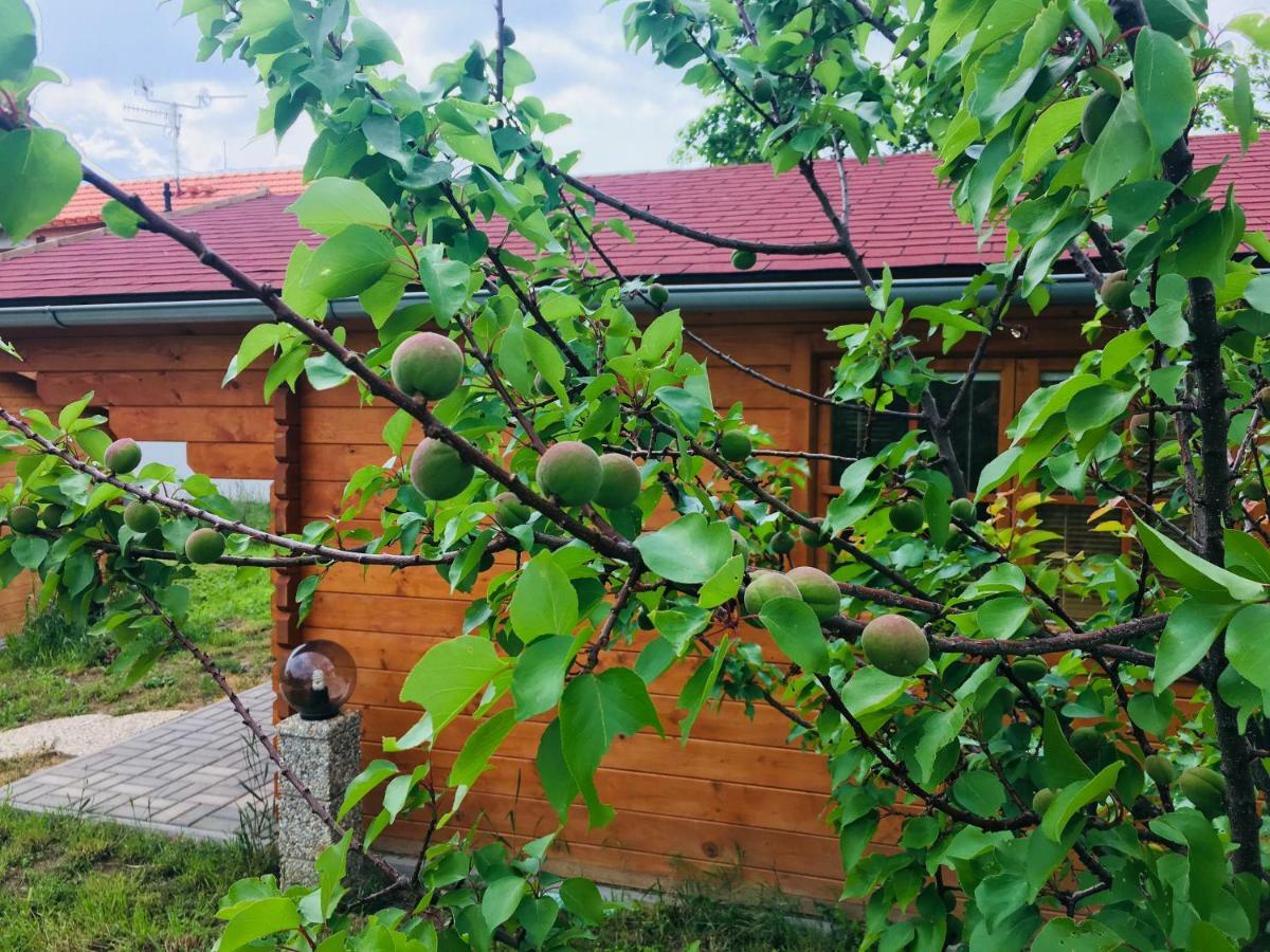 Ubytovani U lišáka FOXE Bulhary Exterior foto